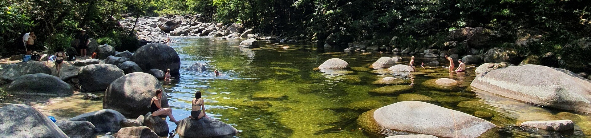 Are there crocodiles in the Mossman Gorge?