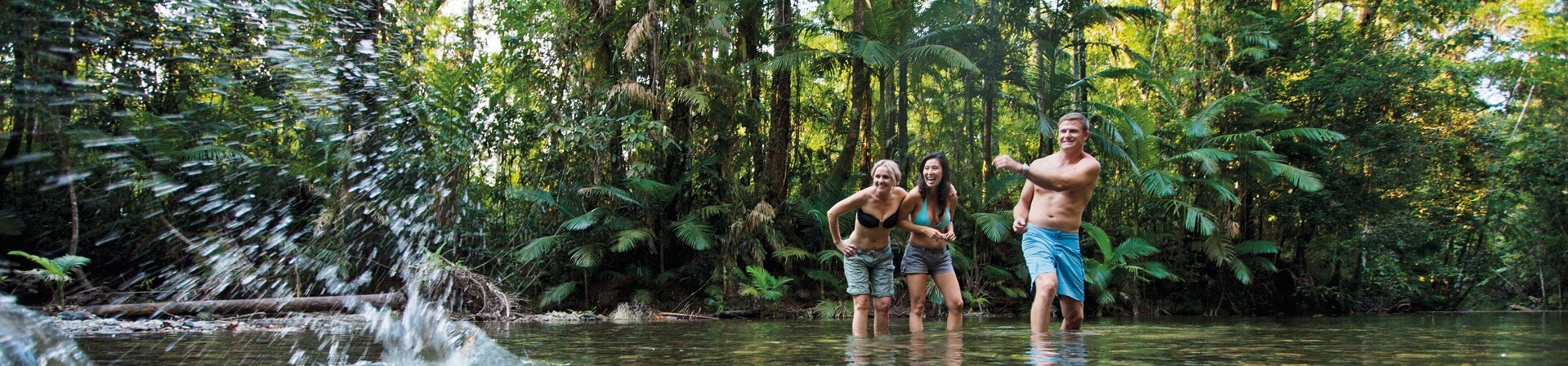 How many tourists visit the Daintree Rainforest each year?