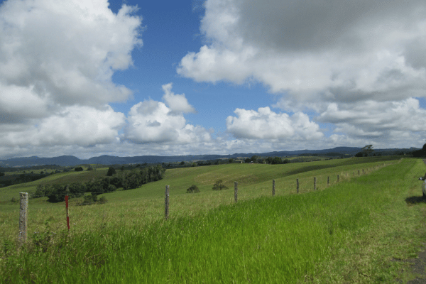 field with sky in the background